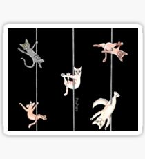 Pole Kittens at Play Sticker