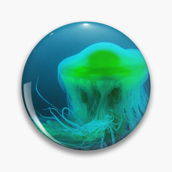 Item preview, Fried Egg Jelly Fish | Phacellophora camtschatica | Point Cabrillo | Marine Biology designed and sold by Hexxyl.