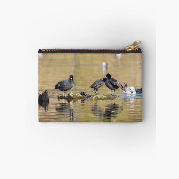 Item preview, Eurasian Coots designed and sold by Olimpia Negura.