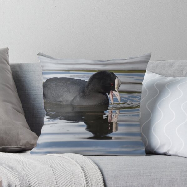 Item preview, Eurasian Coots designed and sold by Olimpia Negura.