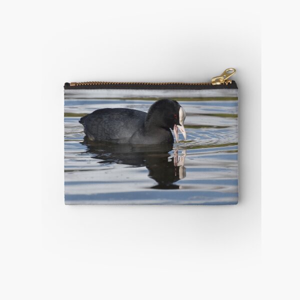 Item preview, Eurasian Coots designed and sold by Olimpia Negura.