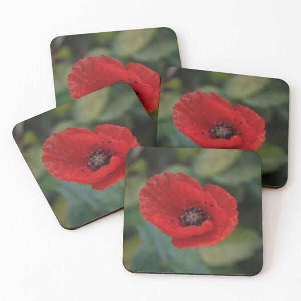 Item preview, Red poppy on green foliage designed and sold by Emma  Amies.