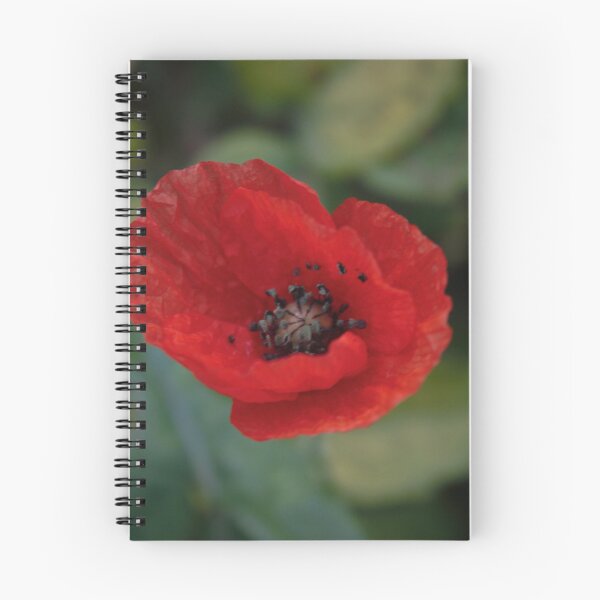 Item preview, Red poppy on green foliage designed and sold by Emma  Amies.