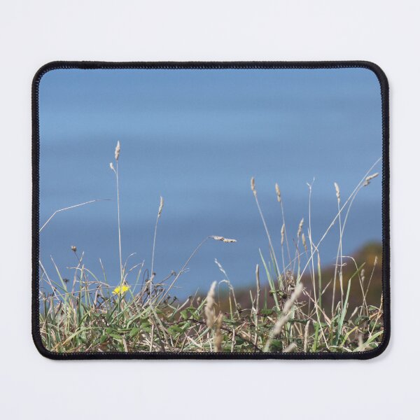 Item preview, North CornwallCoast designed and sold by Emma Amies.