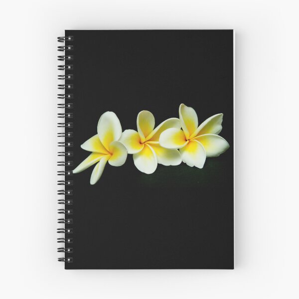 Artikelvorschau,  gebräuchlicher Name Frangipani. entworfen und verkauft von Kitty Green.