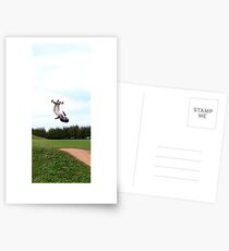 Thrills 2 Postcards