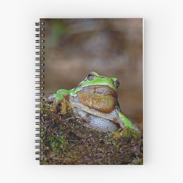 Item preview, r669/  " the Friendly Palmed Green Frog - la Gentille grenouille verte Palmé " to Okaio Créations - Olavia-Olao  designed and sold by o.okaïo.