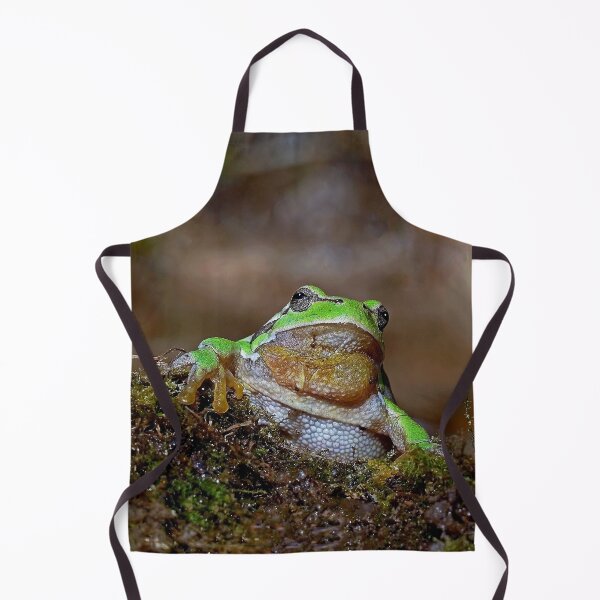 Item preview, r669/ " the Friendly Palmed Green Frog - la Gentille grenouille verte Palmé " to Okaio Créations - Olavia-Olao designed and sold by o.okaïo.