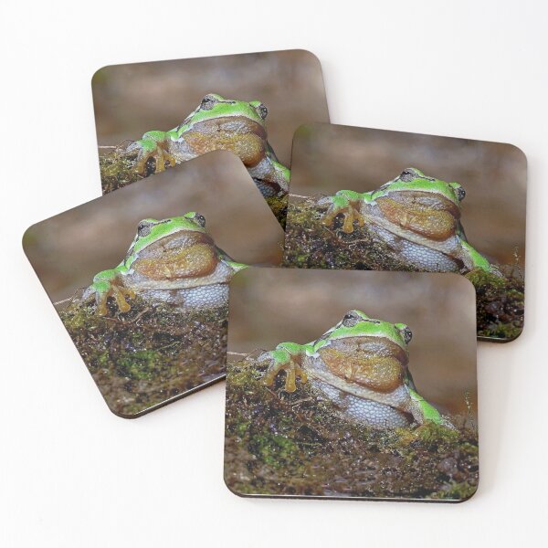 Item preview, r669/  " the Friendly Palmed Green Frog - la Gentille grenouille verte Palmé " to Okaio Créations - Olavia-Olao  designed and sold by o.okaïo.