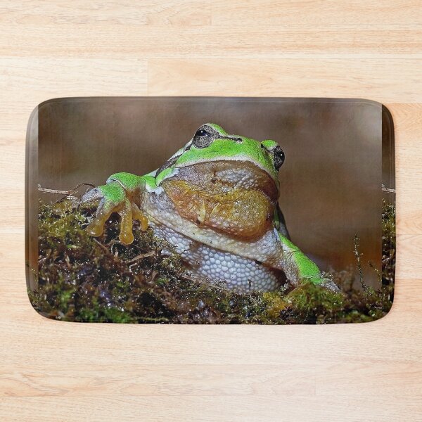 Item preview, r669/  " the Friendly Palmed Green Frog - la Gentille grenouille verte Palmé " to Okaio Créations - Olavia-Olao  designed and sold by o.okaïo.