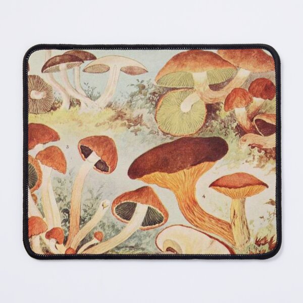 Item preview, Oldish Vintage Mushroom Montage Set #8 designed and sold by Krispsm.