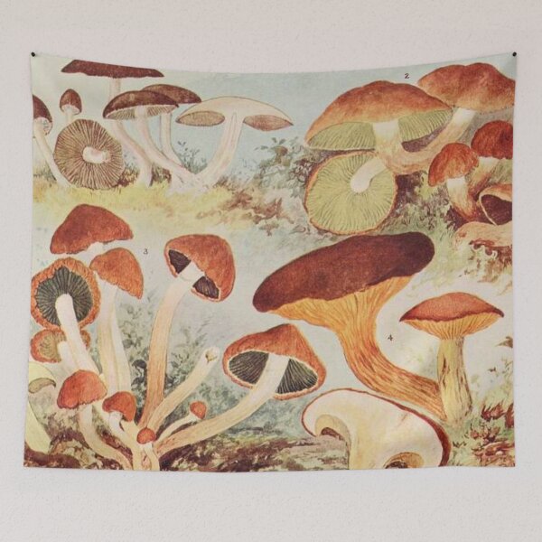 Item preview, Oldish Vintage Mushroom Montage Set #8 designed and sold by Krispsm.