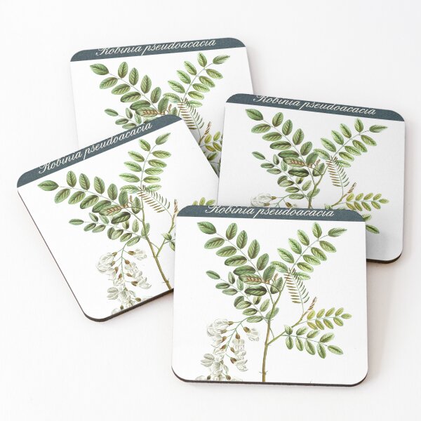 Item preview, Black Locust (Robinia pseudoacacia) designed and sold by RonesaAveela.