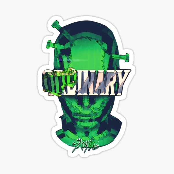 Stray Kids ODDINARY global Draw リノスンミン 