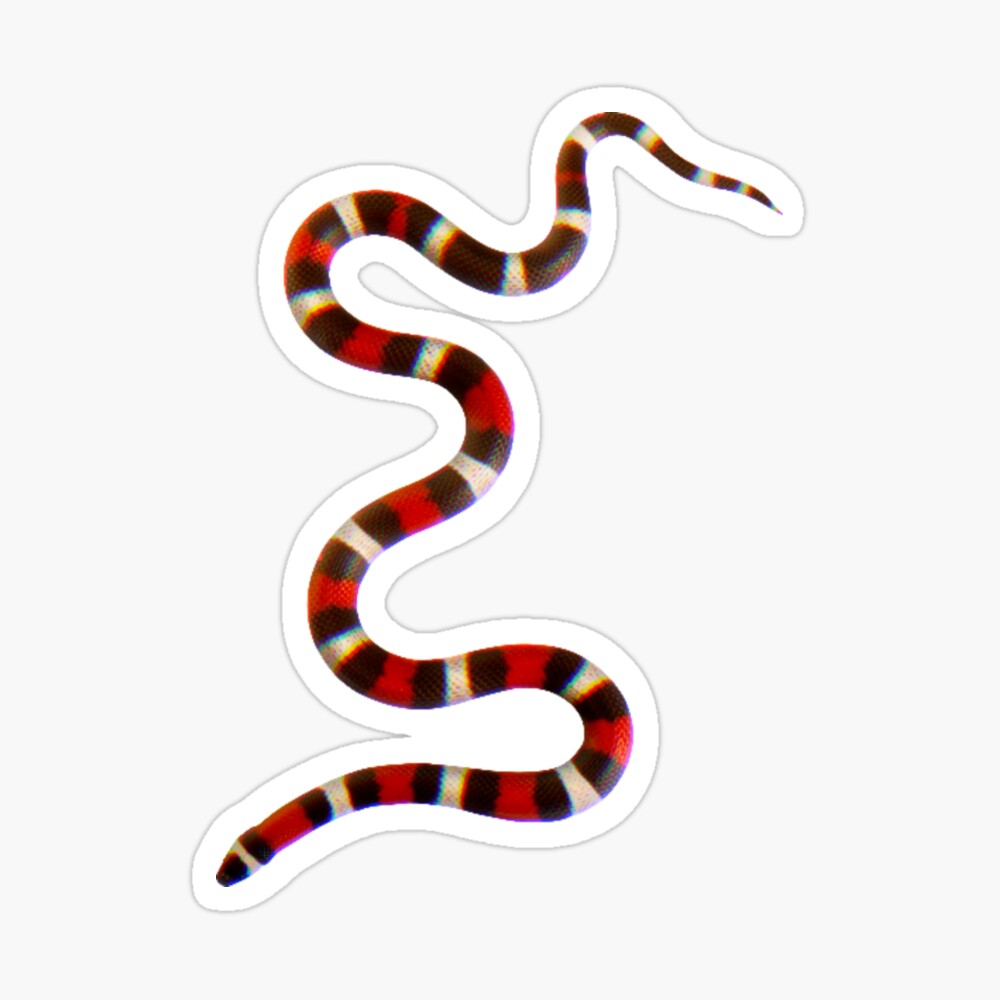 Gucci Coral Snake Temporary Tattoo Sticker (Set of 2)