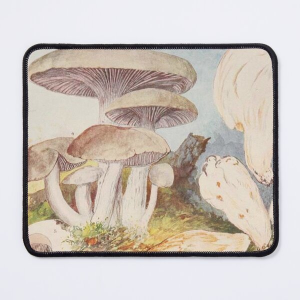 Item preview, Oldish Vintage Mushroom Montage Set #9 designed and sold by Krispsm.