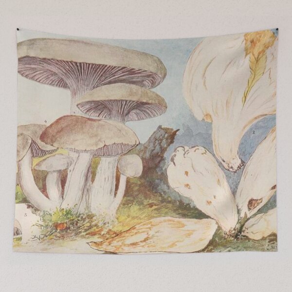 Item preview, Oldish Vintage Mushroom Montage Set #9 designed and sold by Krispsm.
