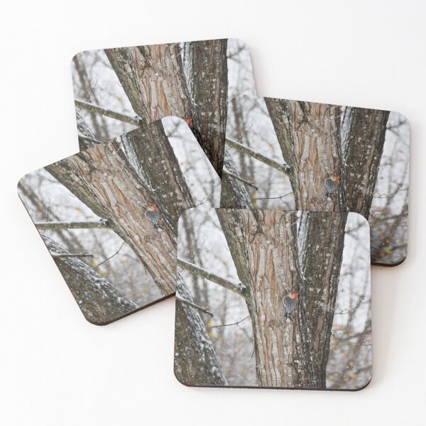 Item preview, Red Headed Wood Pecker in Winter designed and sold by sjohnson70.