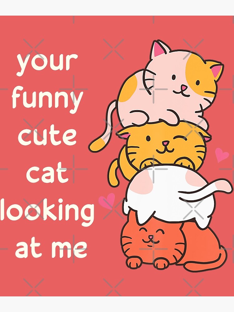 "Your Cute Cat Looking At Me Funny Cat " Poster for Sale by poolbar