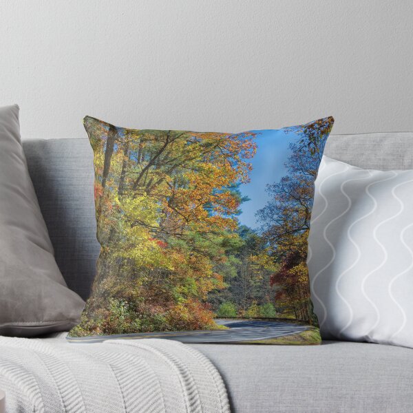 Item preview, Scenic Highway Splendor designed and sold by John Bailey.