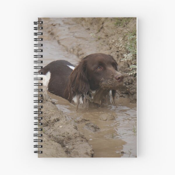 Item preview, English Springer Spaniel designed and sold by Anne Staub.