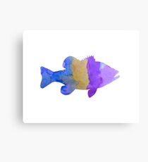 Fish Canvas Print