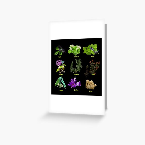 Item preview, HERBS AND SPICES - COOK'S BOTANICAL designed and sold by Danicus666.