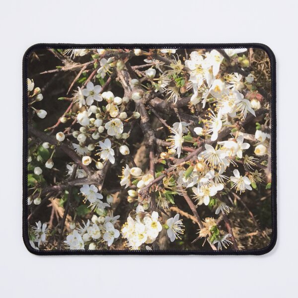 Item preview, Blackthorn Bush designed and sold by JuleZ54.