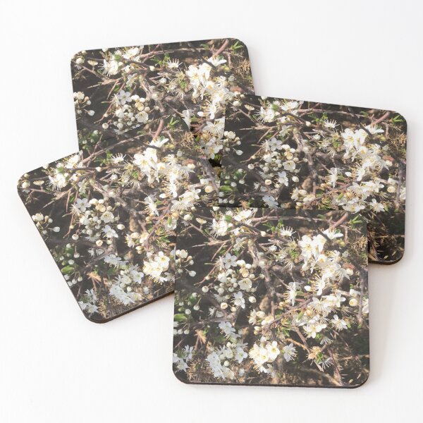 Item preview, Blackthorn Bush designed and sold by JuleZ54.