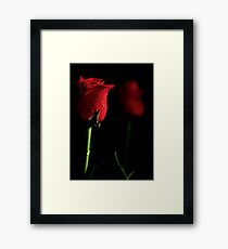 Romance Framed Print