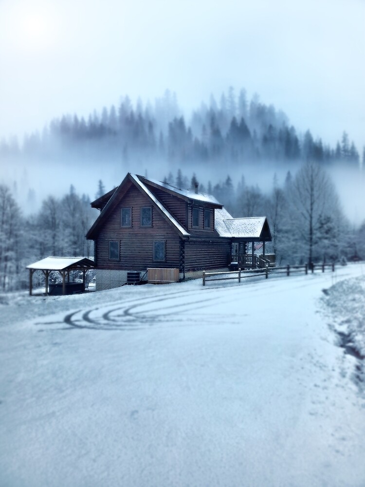 "The Cabin" Poster For Sale By BjornSkarsgard3 | Redbubble