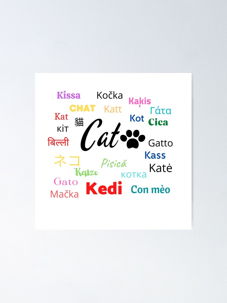 cat-in-different-languages-poster-by-edelisa-redbubble