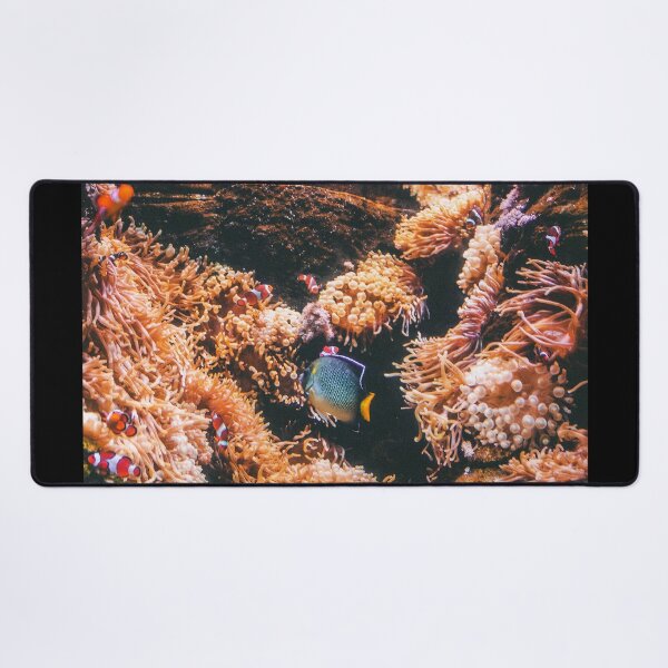 Item preview, CORALS designed and sold by SENSETUS.