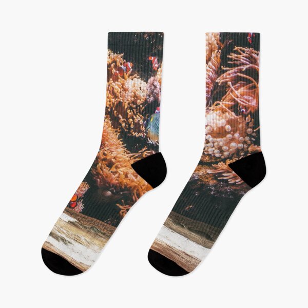 Item preview, CORALS designed and sold by SENSETUS.