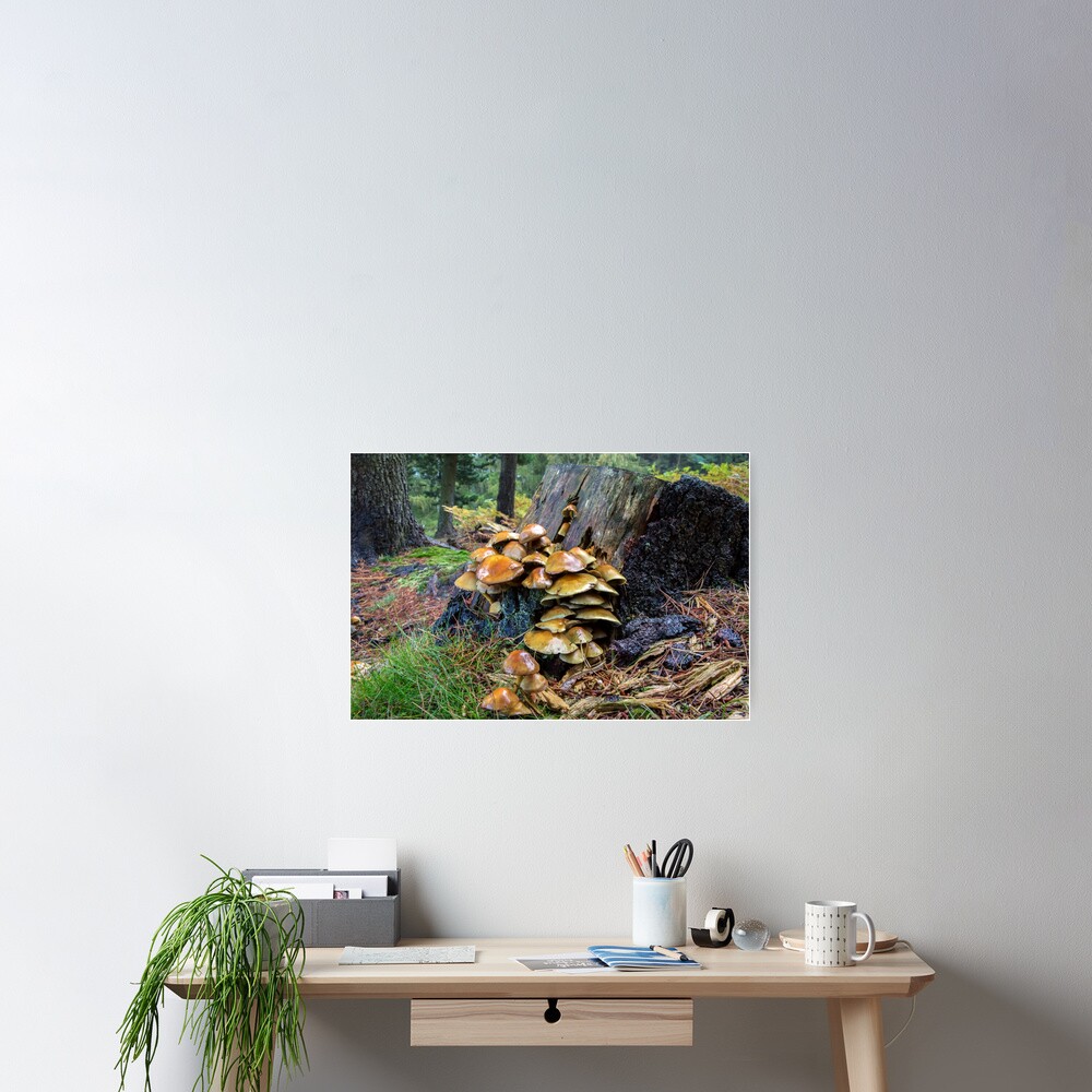 Item preview, Poster designed and sold by neandercol.