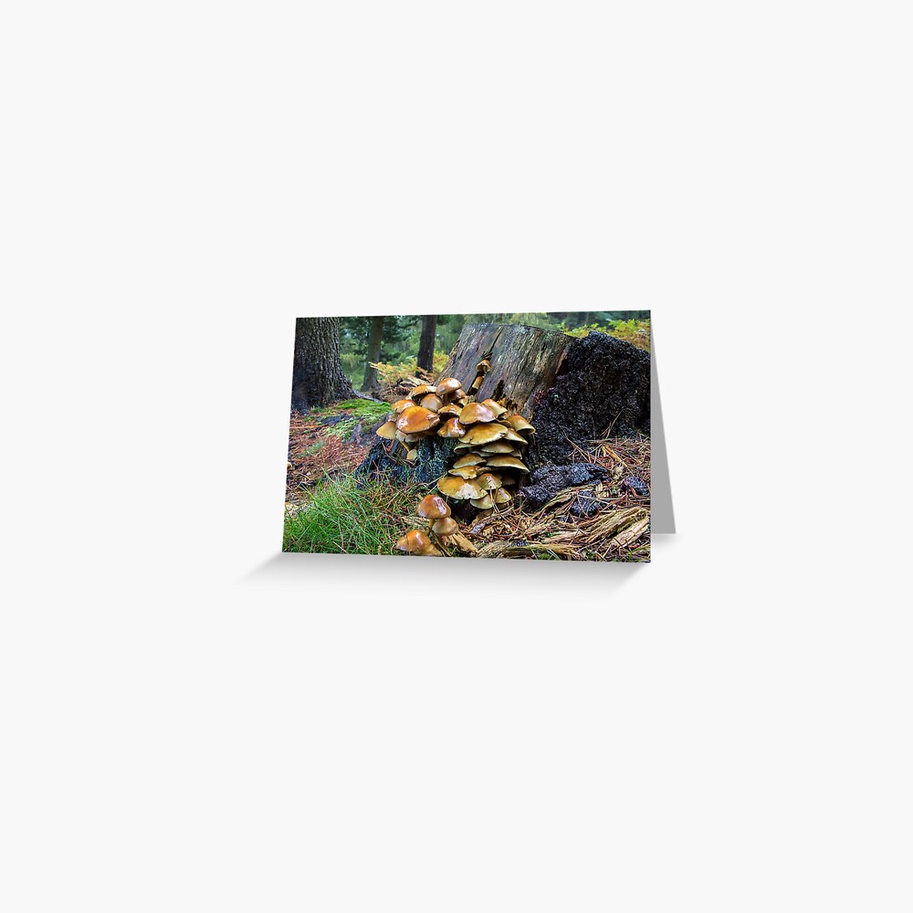 Item preview, Greeting Card designed and sold by neandercol.