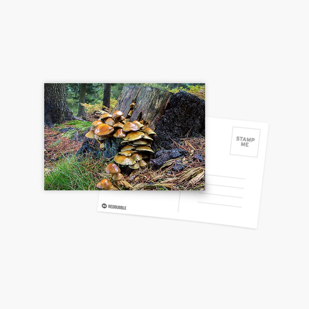 Item preview, Postcard designed and sold by neandercol.