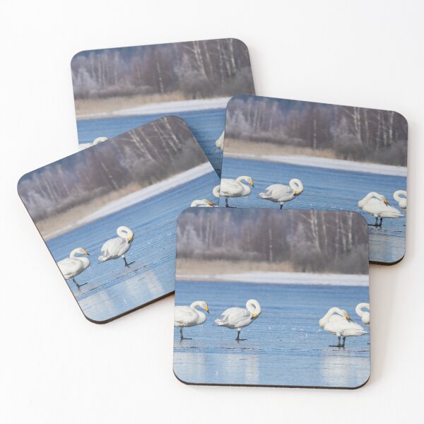 Item preview, Maintenance break. Whooper Swan designed and sold by Jouko Lehto Photography.