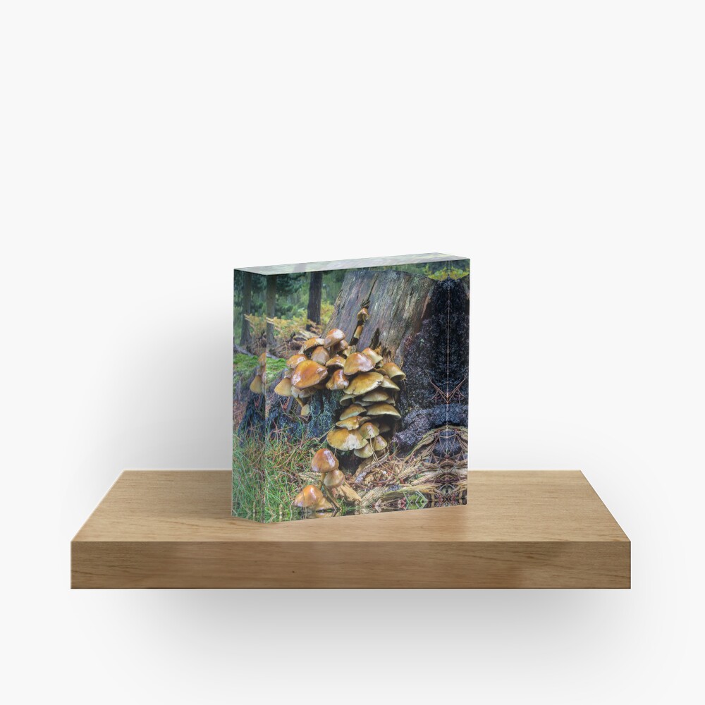Item preview, Acrylic Block designed and sold by neandercol.
