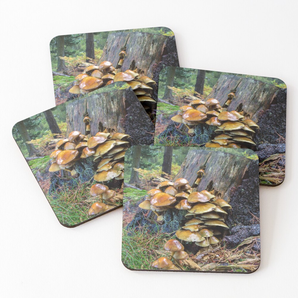 Item preview, Coasters (Set of 4) designed and sold by neandercol.