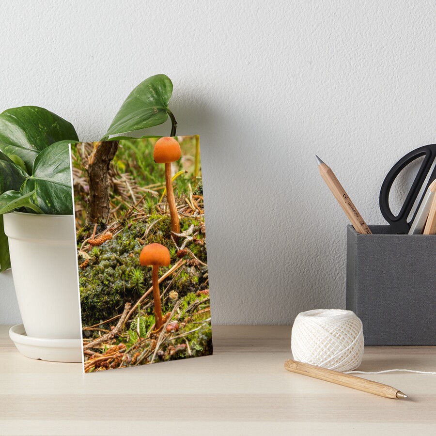 Item preview, Art Board Print designed and sold by neandercol.