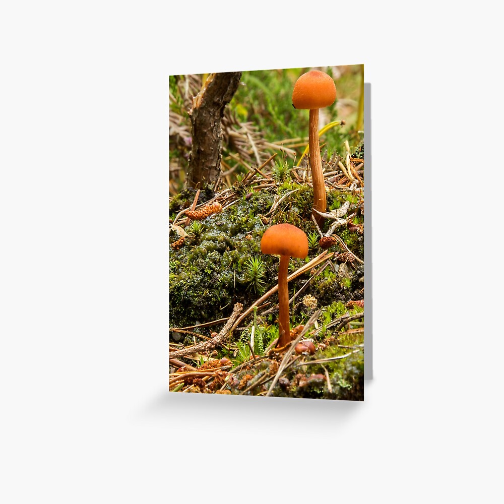 Item preview, Greeting Card designed and sold by neandercol.