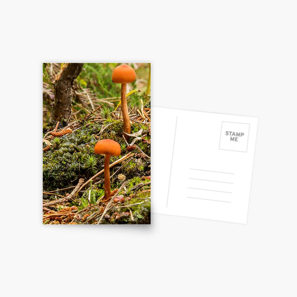 Item preview, Postcard designed and sold by neandercol.