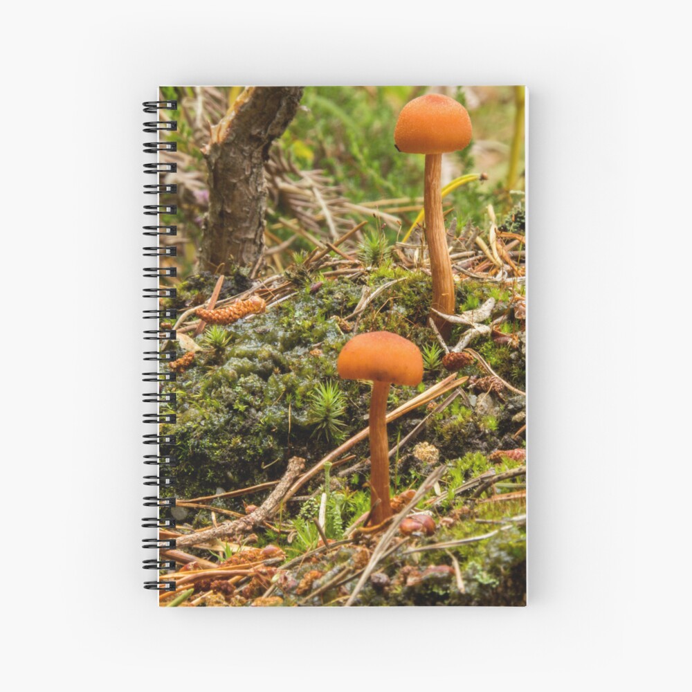 Item preview, Spiral Notebook designed and sold by neandercol.
