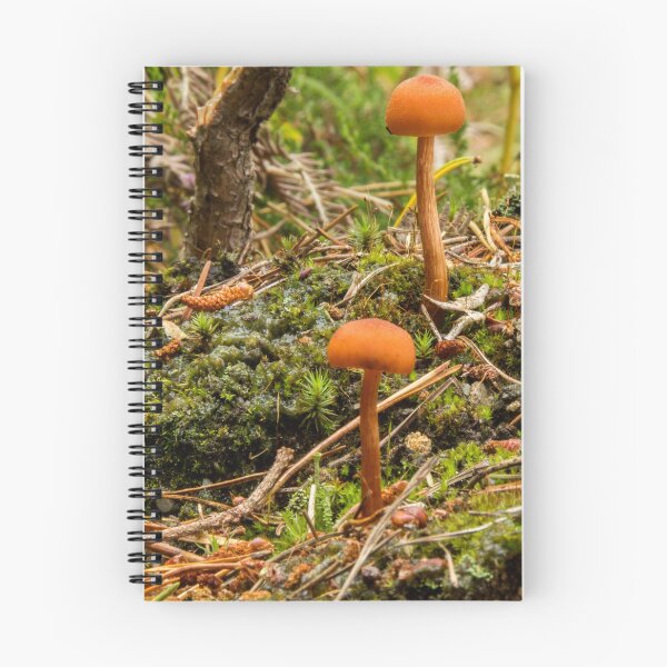 Item preview, Toadstools and Pine Cones designed and sold by neandercol.