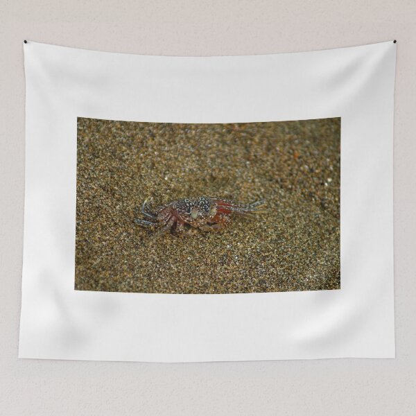 Item preview, lll Sand crab designed and sold by pcfyi.