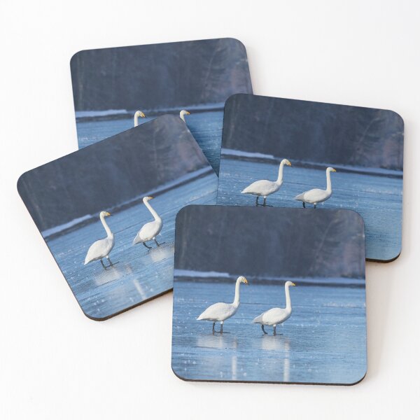 Item preview, Be Careful on the thin ice. Whooper Swan designed and sold by Jouko Lehto Photography.