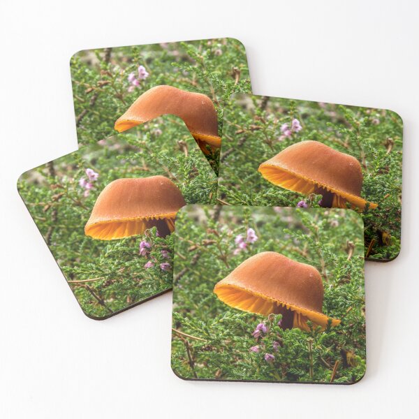 Orange Toadstool Coasters (Set of 4)