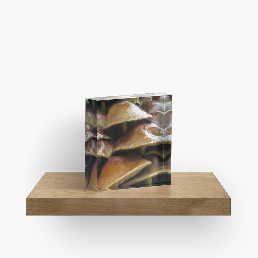 Item preview, Acrylic Block designed and sold by neandercol.