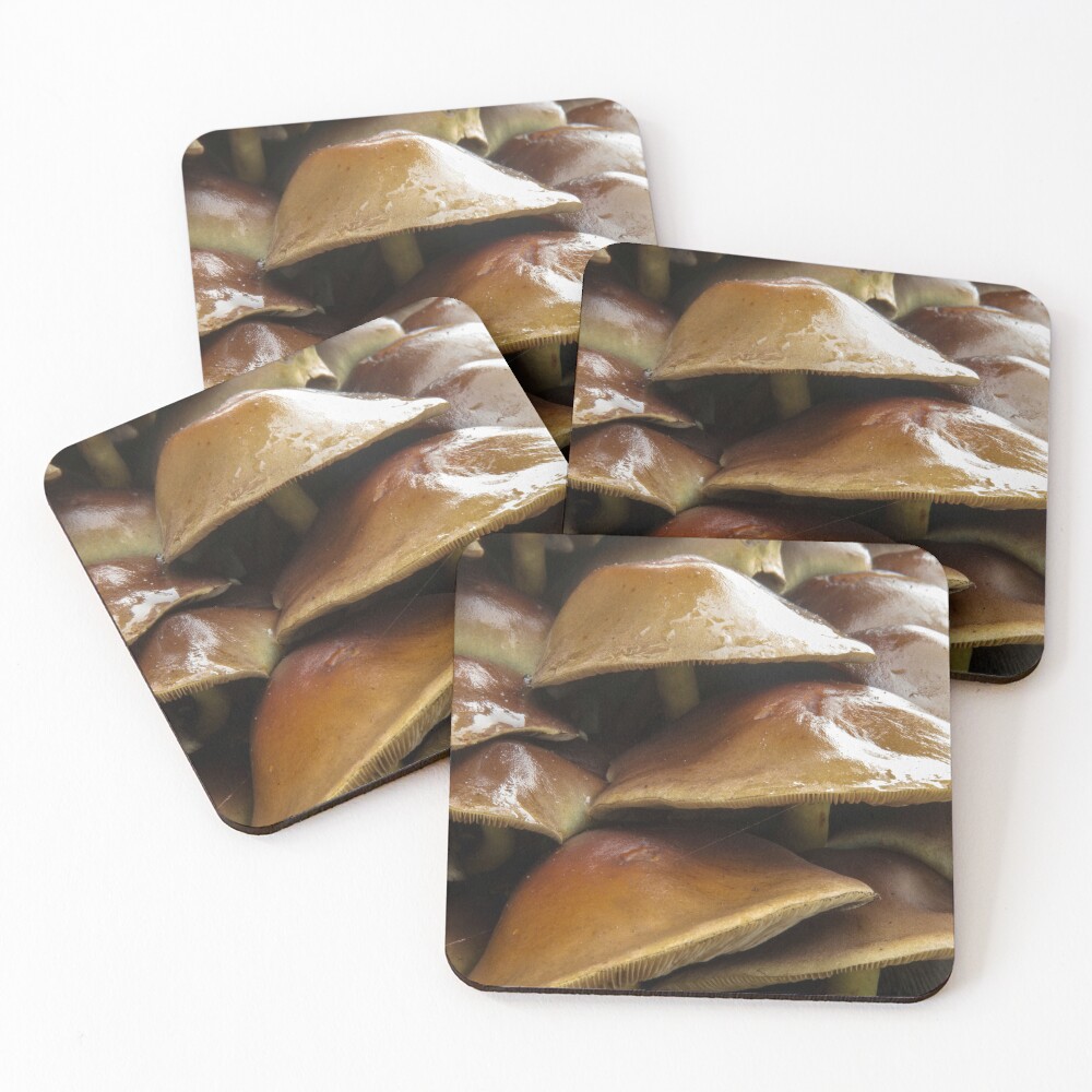 Item preview, Coasters (Set of 4) designed and sold by neandercol.